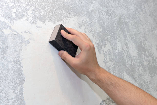 Forensic Mold Investigation in Crouch Mesa, NM