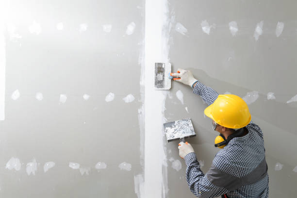 Best Forensic Mold Investigation  in Crouch Mesa, NM