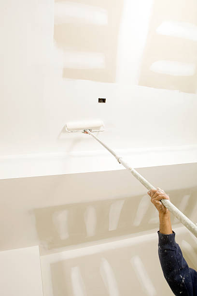 Trusted Crouch Mesa, NM Mold Removal Experts